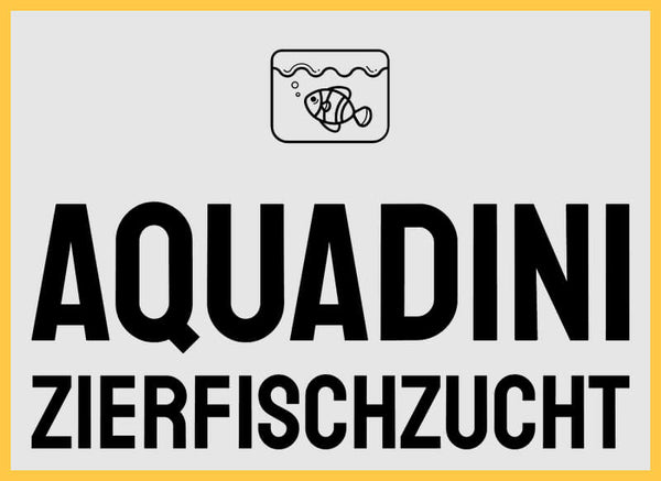 Aquadini